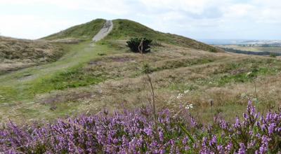 Trehøjestien og Toggerbo