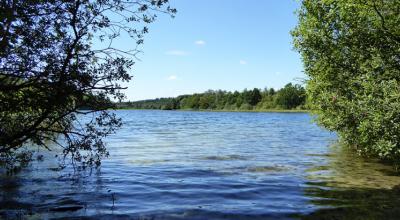 Ørnbjerg-ruten Ørnbjerg-ruten