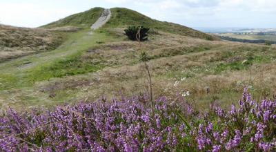 Mols Bjerge-ruten Mols Bjerge-ruten