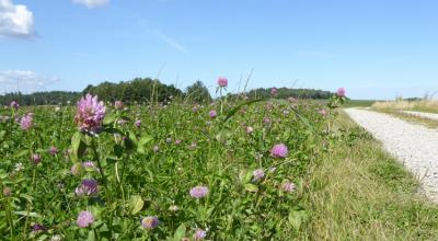 Kolind-ruten Kolind-ruten