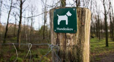 Hundeskov Hundeskov