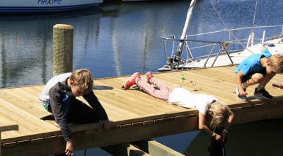 Lystbådehavne Lystbådehavne