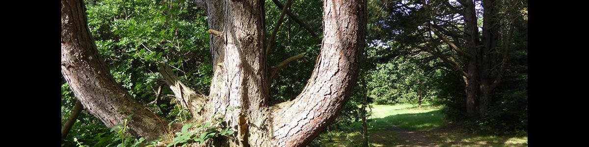 Egil Fischers Mindepark